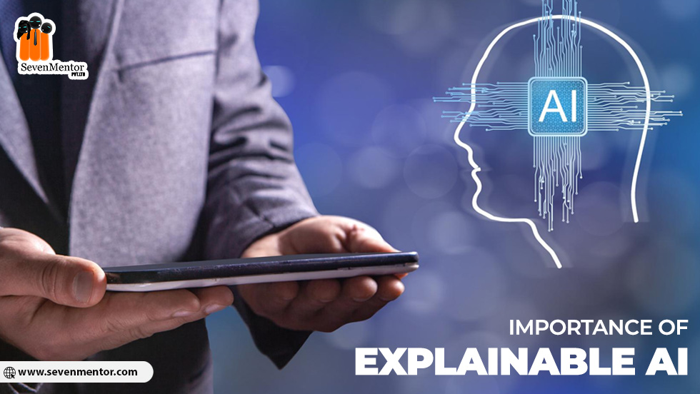 Importance of Explainable AI 